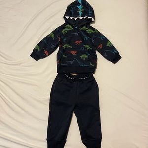 Dinosaur Sweat set